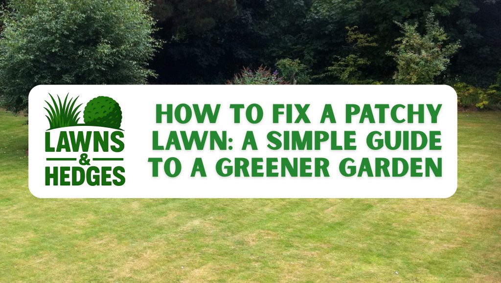 How to Fix a Patchy Lawn: A Simple Guide to a Greener Garden
